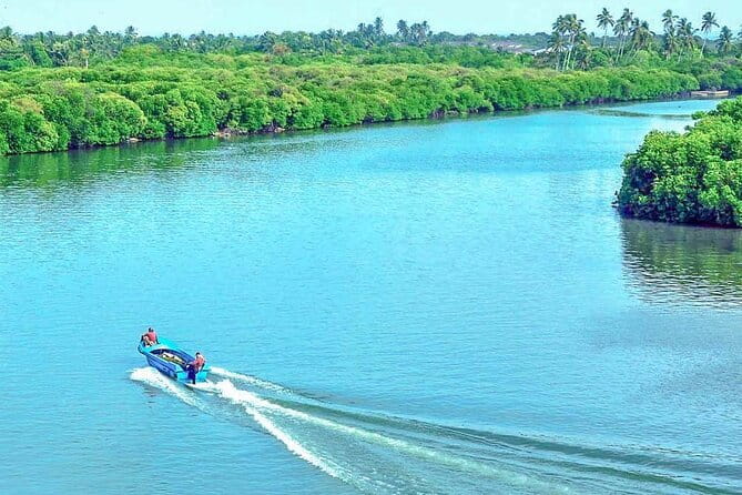 Half Day Tour to Muthurajawela, Lagoon, Dutch Canal and Mangroves - Starting with the Dutch Canal