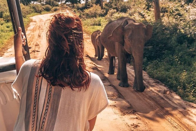 Half Day Udawalawe Safari (Entrance + Lunch) - A private Jeep changes the feel of the day