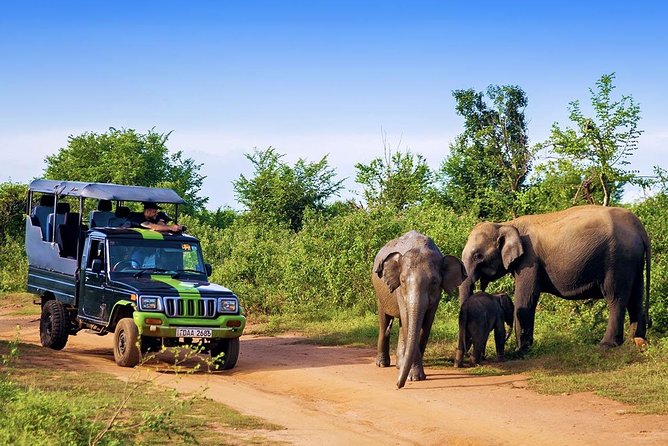 Half Day Udawalawe Safari (Entrance + Lunch) - Who will enjoy this experience most?