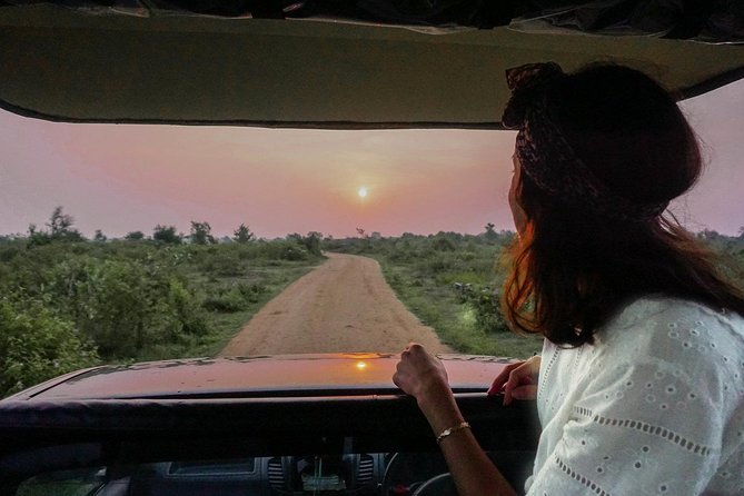 Half Day Udawalawe Safari from Kalutara (Entrance + Lunch) - Who should book this safari?