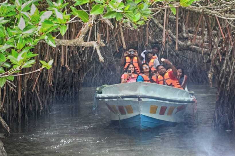 Hambantota Port: Galle Fort ,River Safari & Sea Turtle Visit - What the $99 price really includes