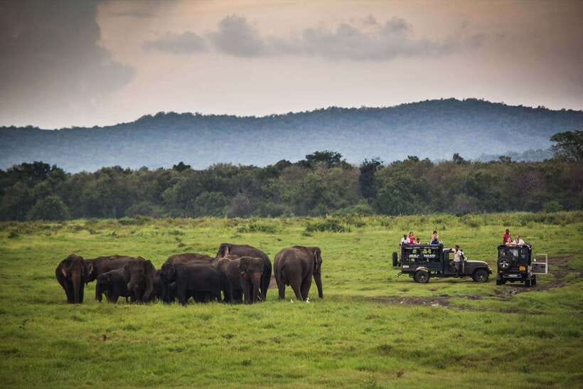 Hambantota Port: Udawalawe Safari Tour & Transit Home Visit - The honest price: $51 is not the full bill