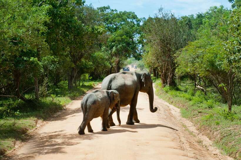 Hambantota Shore Excursion: Village and Cultural tour - Hambantota’s city story and the wider setting