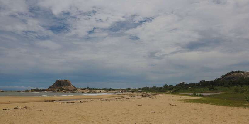 Hambantota: Yala National Park Wildlife Safari in a 4x4 - Small Details That Make the Day Better