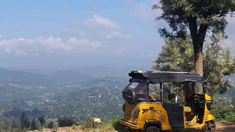 Haputale:Glorious Tuk Tuk Ride to Lipton'sSeat & Tea Factory - Riding through the tea plantations
