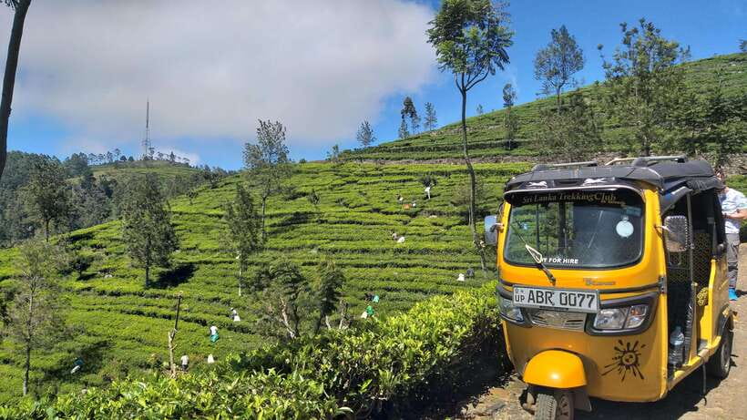 Haputale:Glorious Tuk Tuk Ride to Lipton'sSeat & Tea Factory - A picnic among the tea workers