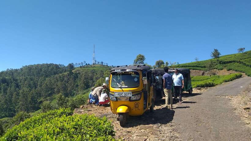 Haputale:Glorious Tuk Tuk Ride to Lipton'sSeat & Tea Factory - How much value do you get for $35?