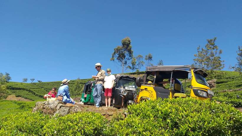 Haputale:Glorious Tuk Tuk Ride to Lipton'sSeat & Tea Factory - Practical tips for a better day