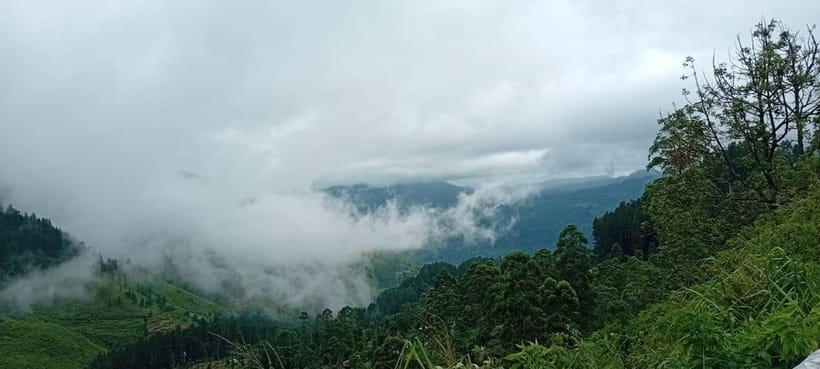 High-Grown Tea & Waterfall Wonders of Nuwara Eliya by tuktuk - Blue Field and the tea-plucking experience