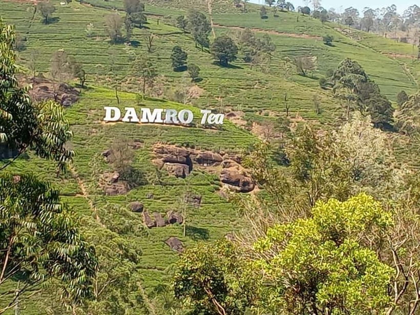 High-Grown Tea & Waterfall Wonders of Nuwara Eliya by tuktuk - Guides, languages, and the private format