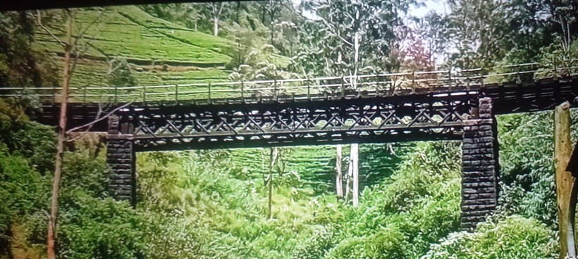 High-Grown Tea & Waterfall Wonders of Nuwara Eliya by tuktuk - Is $30 good value for up to three people?