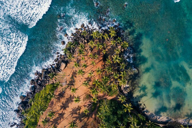 Highlights of Sri Lanka 8 Days Private Tour - What $5,000 buys you in eight days