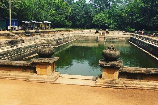 Highlights of Sri Lanka 8 Days Private Tour - Day 4: Kandy’s sacred temple and tea country