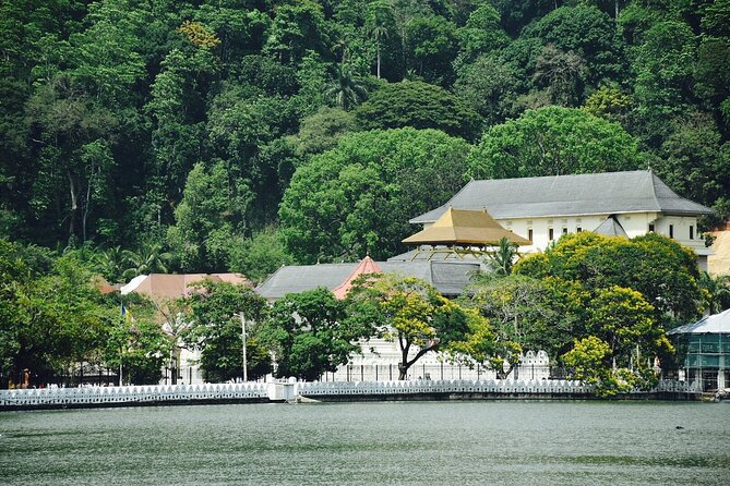 Highlights of Sri Lanka 8 Days Private Tour - Day 5: Nuwara Eliya, Little Adam’s Peak, and the Nine Arches Bridge