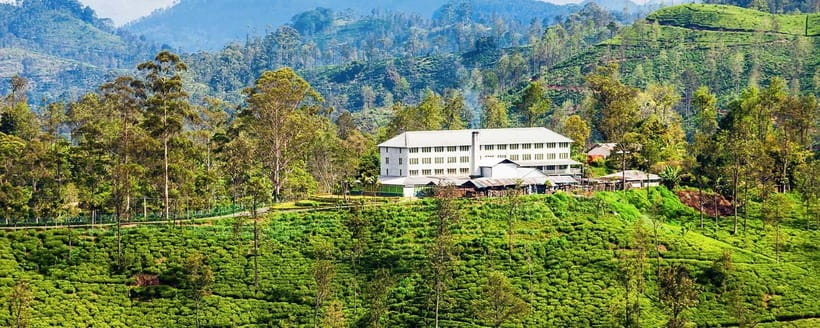 Hikkaduwa/Galle/Mirissa/Hiriketiya/Tangalle:Day Trip to ELLA - The Demodara to Ella train ride