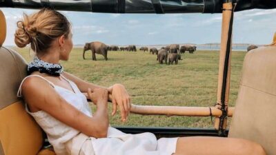 Hikkaduwa/Galle/Weligama/Mirissa/Tangalle: Udawalawa Safari
