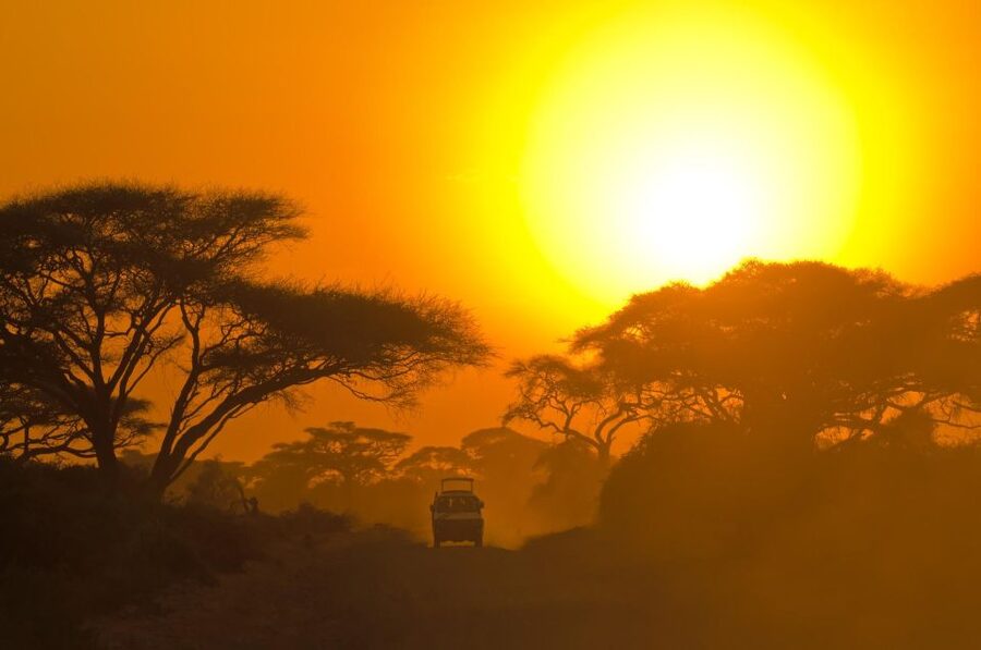 Hikkaduwa/Galle/Weligama/Mirissa: Yala National Park Safari - The real cost: $43 plus the park fee