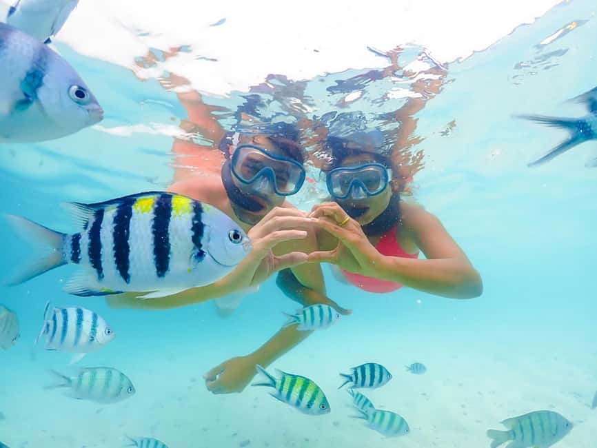 Hikkaduwa Snorkeling Tour: 2 Hours of Underwater Adventure - Key points to know before you book