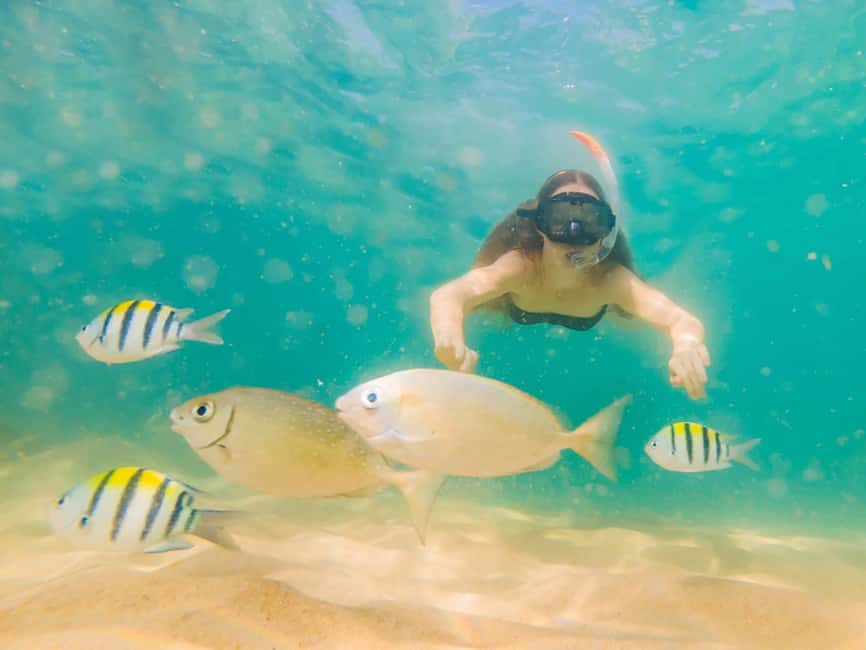 Hikkaduwa Snorkeling Tour: 2 Hours of Underwater Adventure - Equipment, instruction, and comfort after swimming