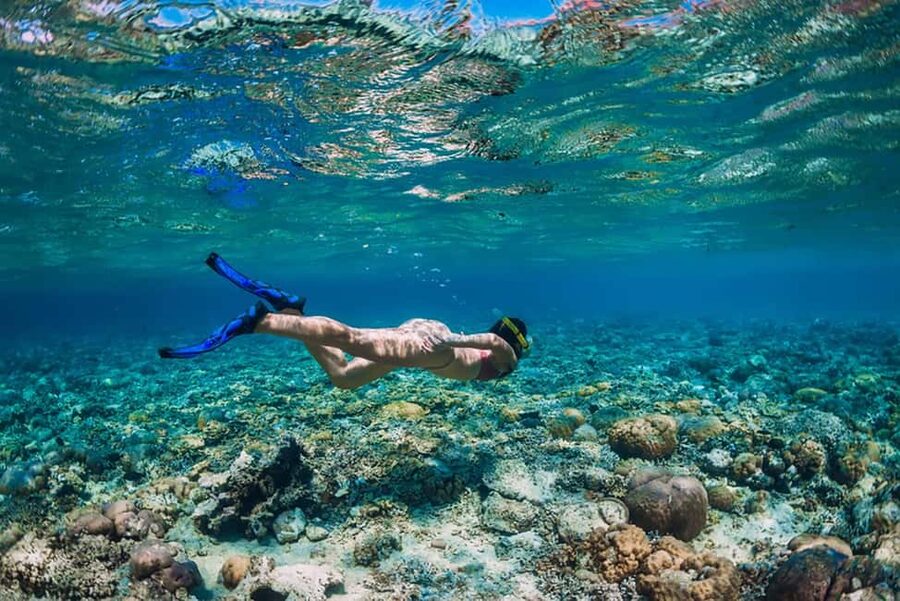 Hikkaduwa Snorkeling Tour: 2 Hours of Underwater Adventure - Is $45 per person good value?