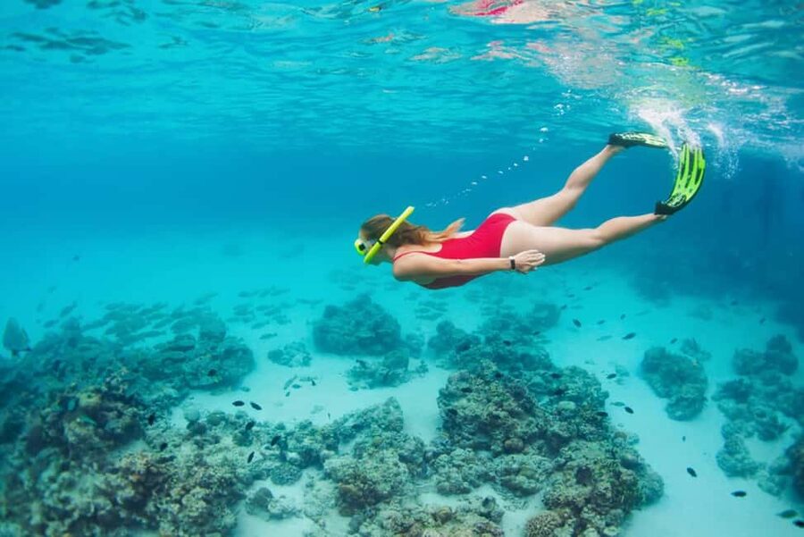 Hikkaduwa Snorkeling Tour: 2 Hours of Underwater Adventure - Booking flexibility and language