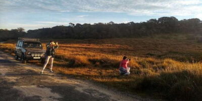 Horton plains: Discover real essence of central highland