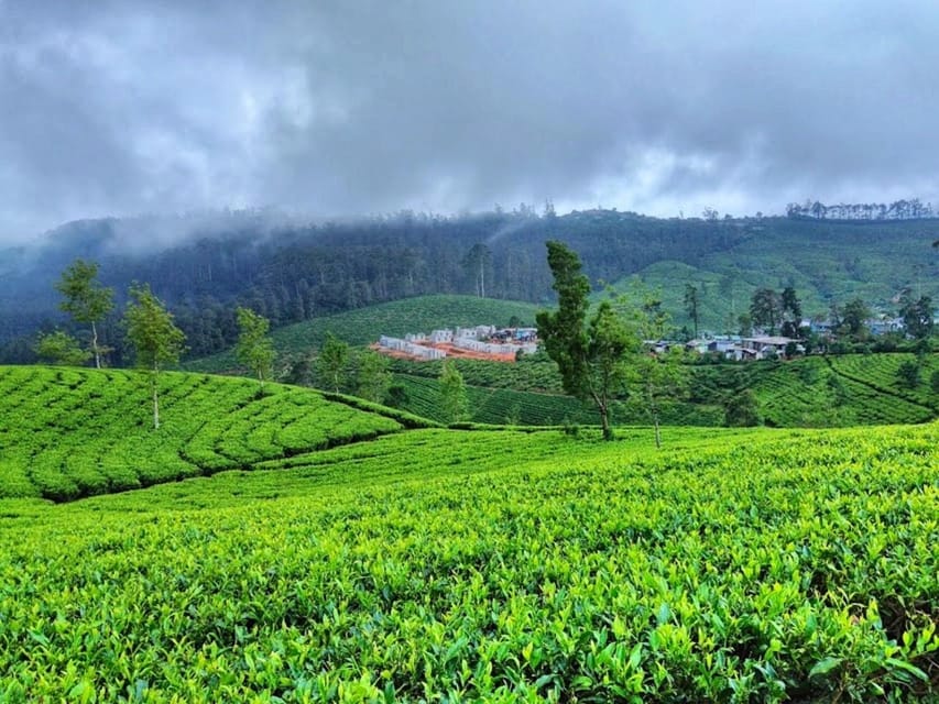 Horton plains: Discover real essence of central highland - Baker’s Falls and the walking portion