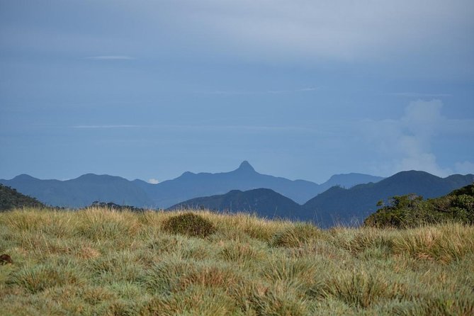 Horton Plains National Park Entrance Ticket with Guide - Baker’s Falls adds sound and movement