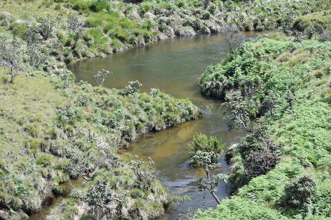 Horton Plains National Park Entrance Ticket with Guide - Is $120 per person fair value?