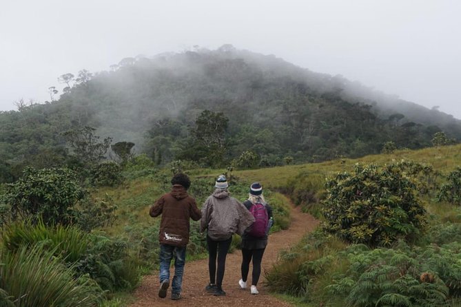 Horton Plains National park in Nuwara eliya - Why this outing works well from Nuwara Eliya