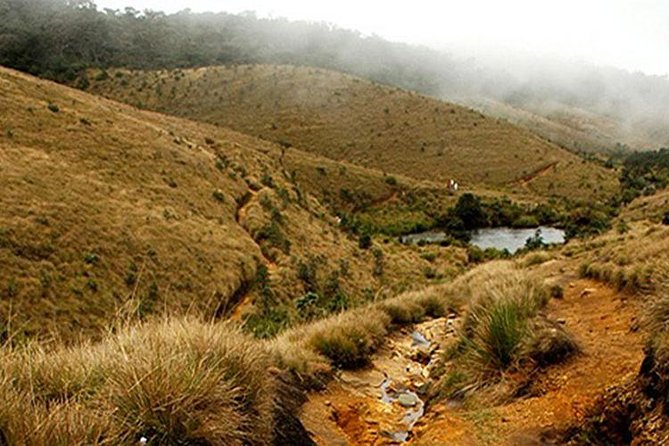 Horton Plains-World's End Tour and Tea Factory Tour From Nuwaraeliya - Key points to know before booking