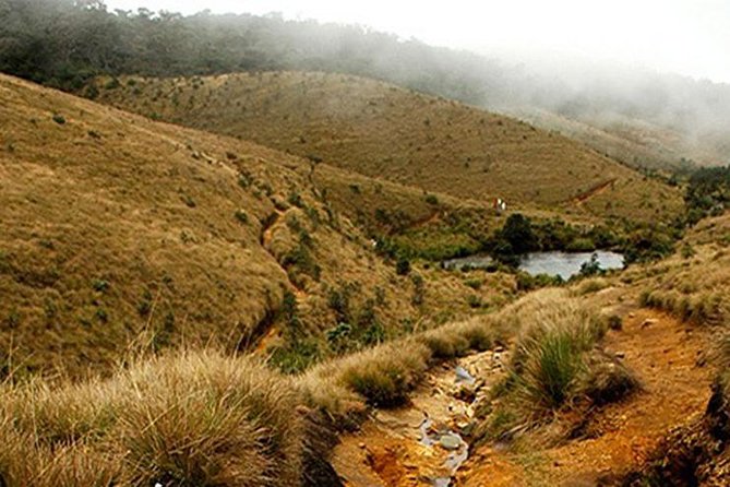 Horton Plains-World's End Tour From Nuwaraeliya - Five things to know before you book