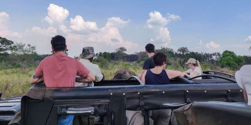 Hurulu Eco Park: 3-Hour Morning or Evening Safari - How the experience compares with a busier safari park