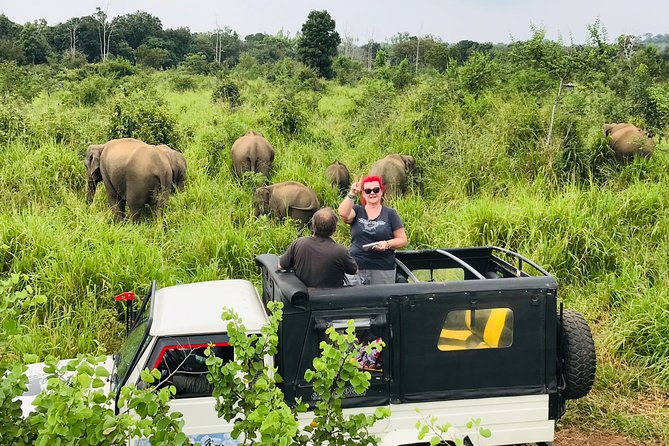 Hurulu Eco Park Half Day Safari - Inside Minneriya National Park