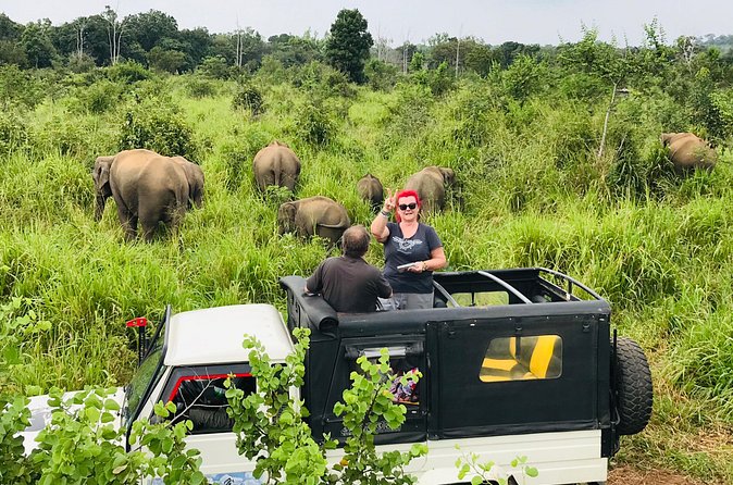 Hurulu Eco Park Half Day Safari - Meeting in Habarana and starting the drive