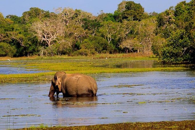 Hurulu eco park jeep safari - What this safari actually offers