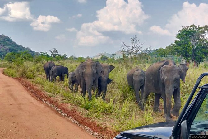 Hurulu Eco Park Private Safari - Why Hurulu Eco Park is a smart elephant stop