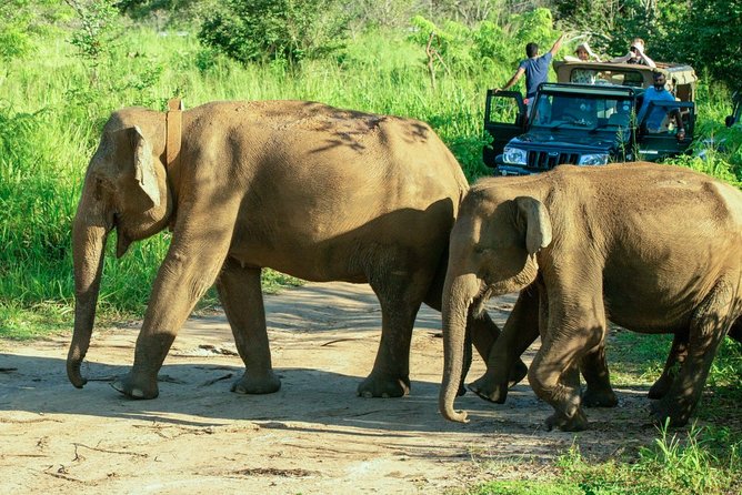 Hurulu Eco Park Private Safari - Pickup, comfort, and small practical details
