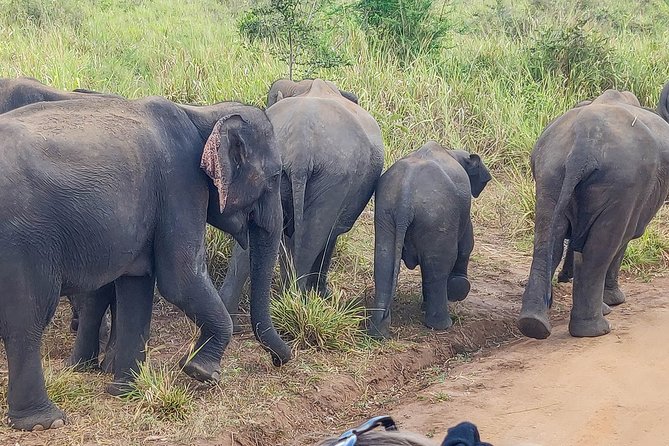 Hurulu Eco Park Private Safari - The operator and the human side of the safari