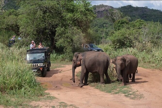 Hurulu Eco Park Safari Adventure - Key points to know before you go