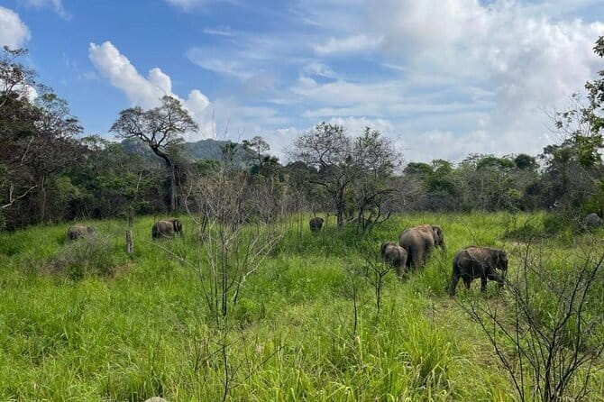 Hurulu Eco Park Safari Adventure - Entering Hurulu Eco Park for three hours
