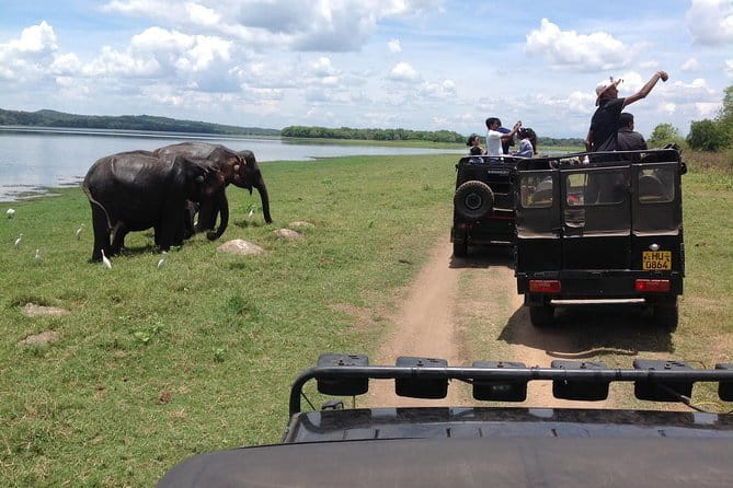 Hurulu Eco Park Safari Adventure - Who will enjoy this safari most