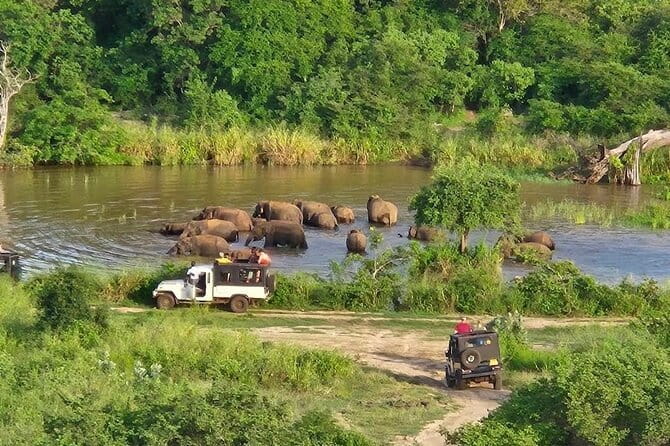 Hurulu Eco Park Safari Adventure - Why December to March matters so much