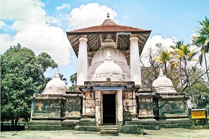 I Day Kandy Heritage Culture Tour - Udawattekele Sanctuary for a forest walk