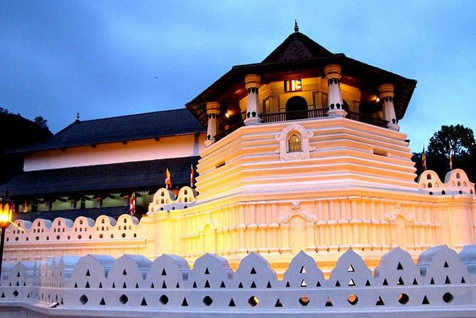 I Day Kandy Heritage Culture Tour - Tea making at Geragama Estate Road