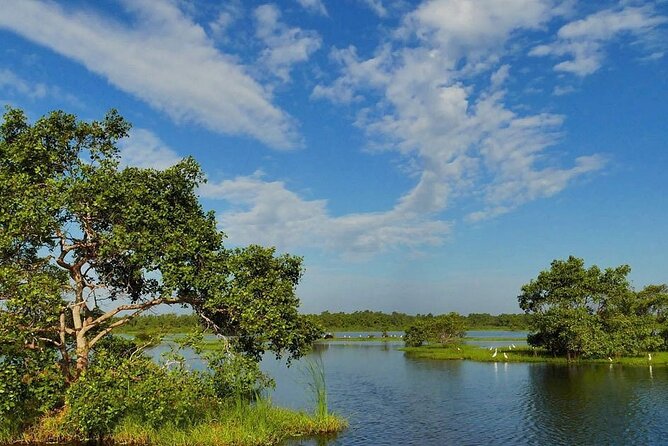 Kalametiya Bird Sanctuary Catamaran Bird Watching Tour - Pickup from Galle and the value of private transport