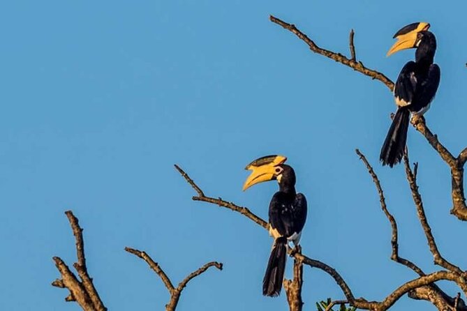 Kalametiya Bird Sanctuary Catamaran Bird Watching Tour - A guide who handles the day