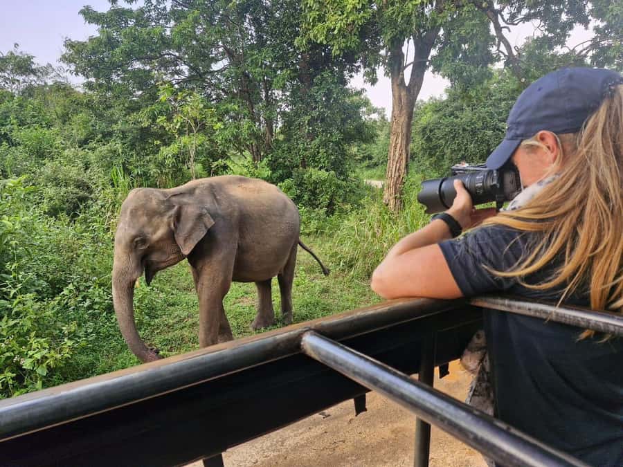 Kandy: 4-Day Sri Lanka Full Circle Private Tour To Colombo - Five details that define this four-day Sri Lanka circuit