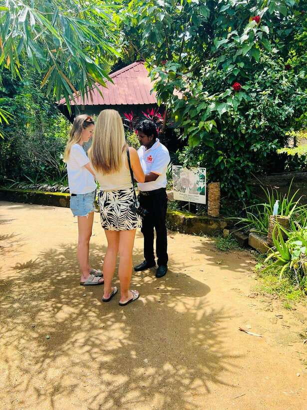 Kandy City Day Tour from Colombo, Negombo or Katunayake - Giragama Tea Factory and fresh Ceylon tea