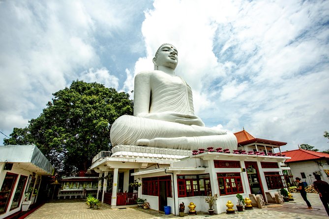 Kandy City Day Tour with a verified tour guide - What the guide adds to a $23 private tour